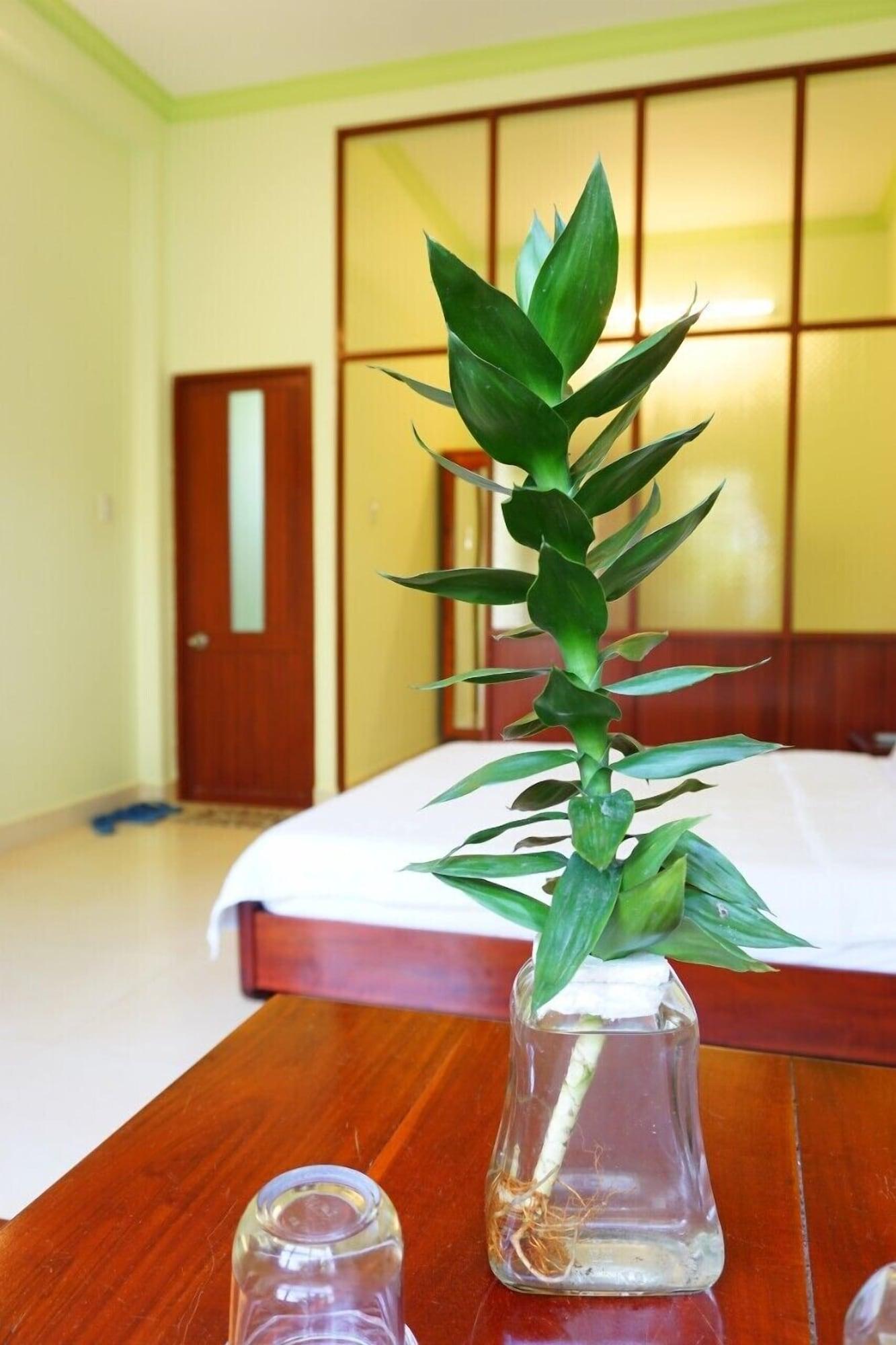 Cat Tien Guesthouse موي ني المظهر الخارجي الصورة